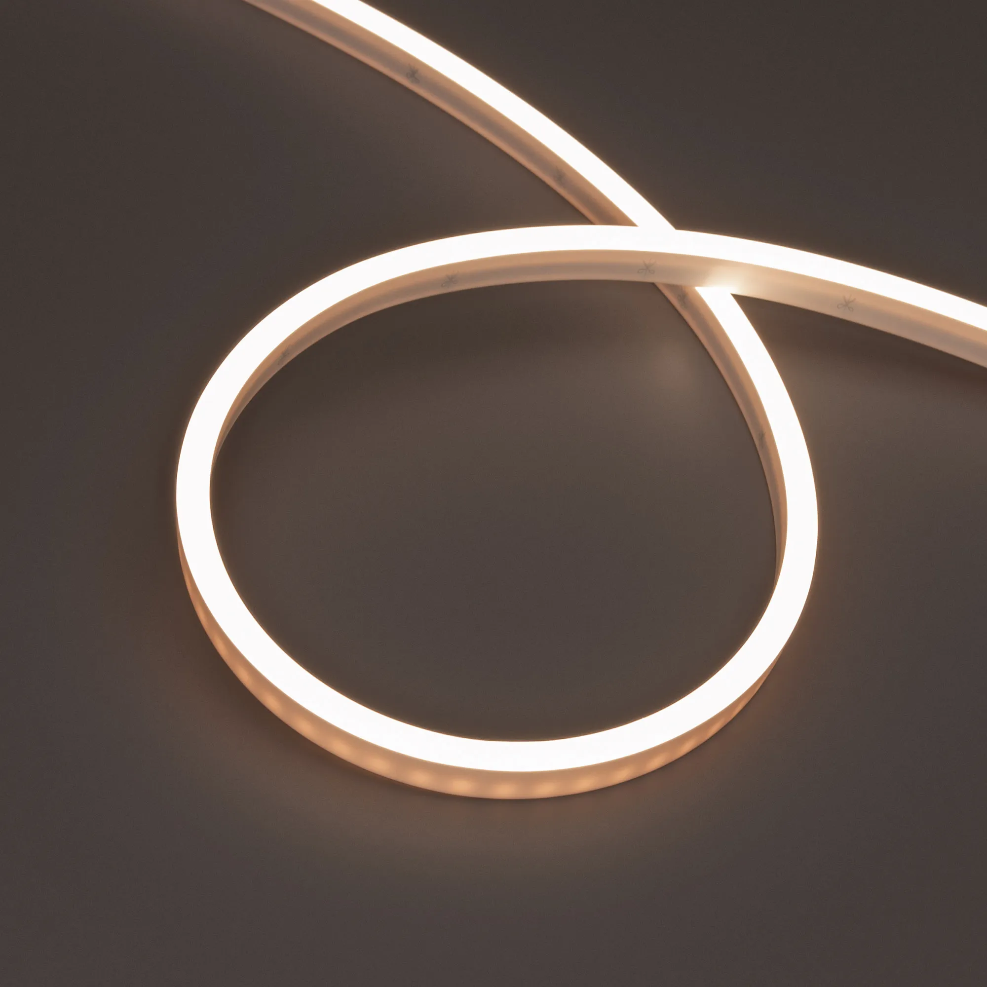 Лента герметичная WAVE-SIDE-PU-A120-06x12mm 24V Day4000 (8 W/m, IP68, 5m, wire x2) (Arlight, Вывод боковой, 3 года) - изображение товара